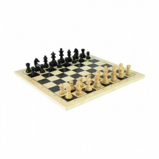 Gioco scacchi bianco/nero cm43*43