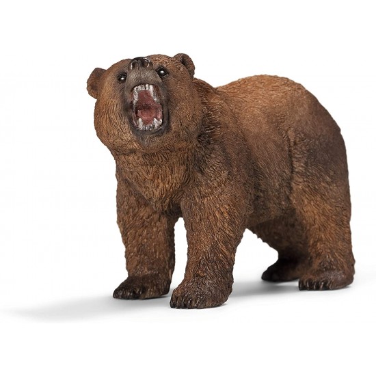14685 sch maschio di orso grizzly
