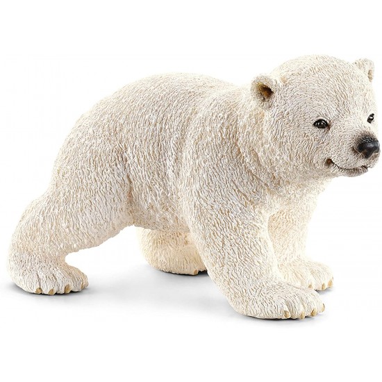 14708 sch cucciolo di orso polare che cammina