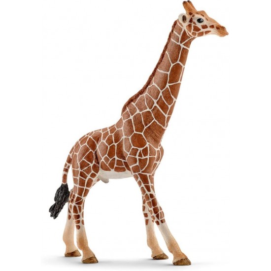 14749 sch giraffa maschio