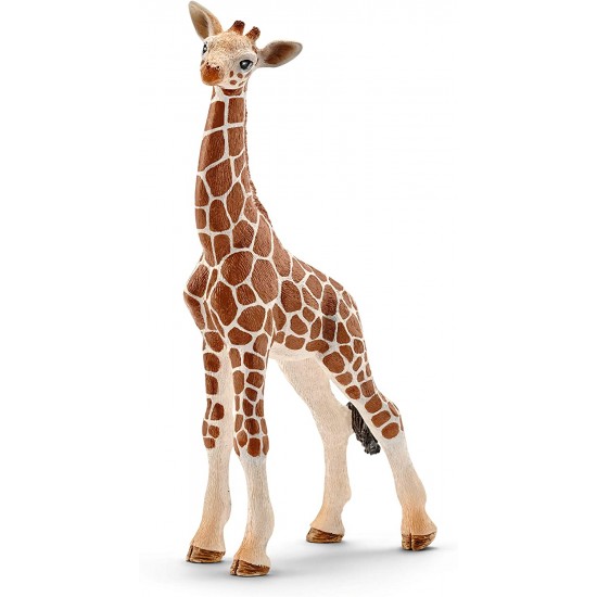 14751 sch cucciolo di giraffa