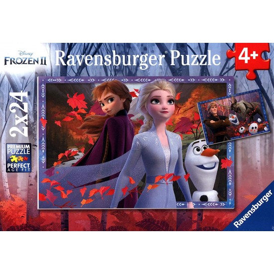 05010 puzzle 2x24 pz frozen 2
