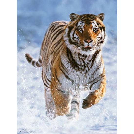 14475 puzzle 500 pz tigre sulla neve