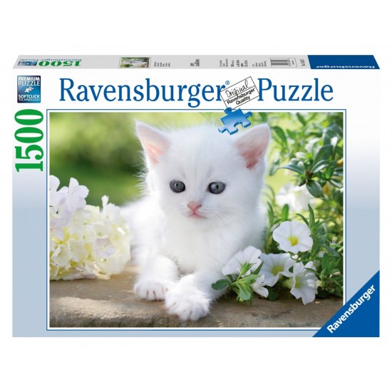 16243 puzzle 1500 pz gattino bianco