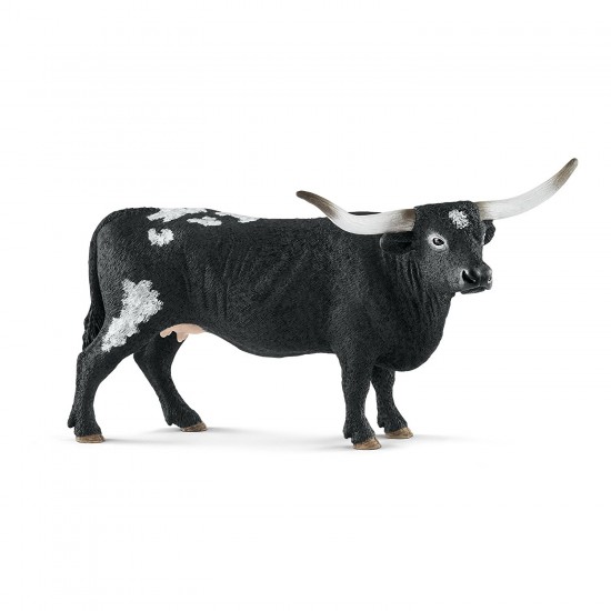 13865 sch mucca texas longhorn