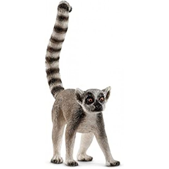 14827 sch lemure catta