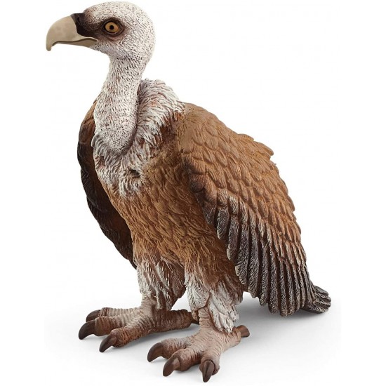 14847 sch avvoltoio