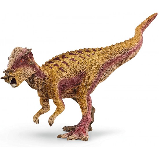 15024 sch pachycephalosaurus
