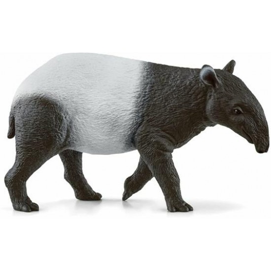 14850 sch tapiro