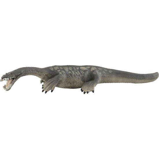 15031 sch nothosaurus