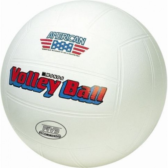 G038742 pallone pallavolo volley america bio