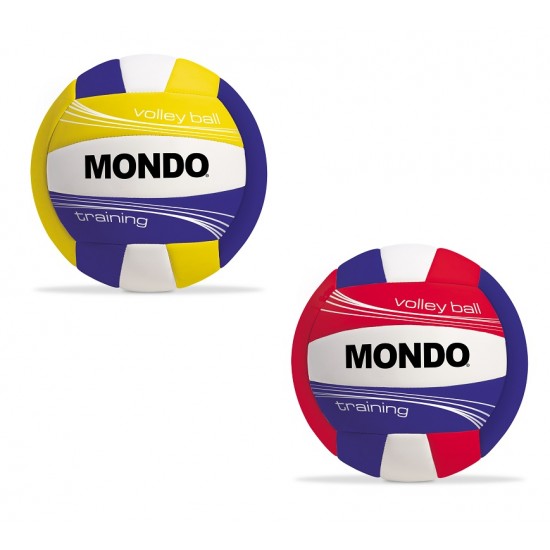 G029178 pallone volley training indoor