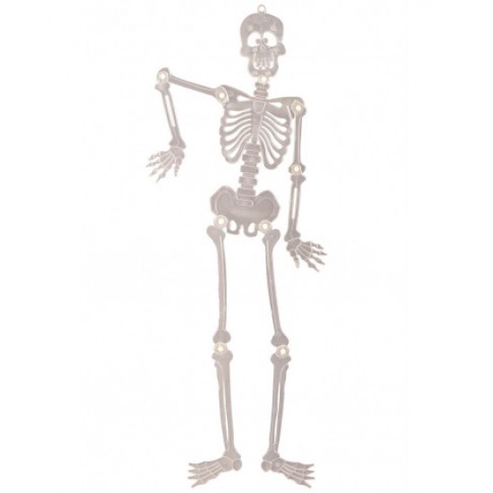 09881 scheletro piatto da appendere