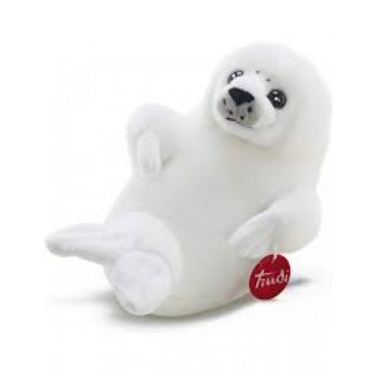 16564 foca lucy cm28