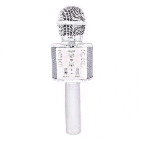 Ggi220334/2 mm microfono karaoke argento
