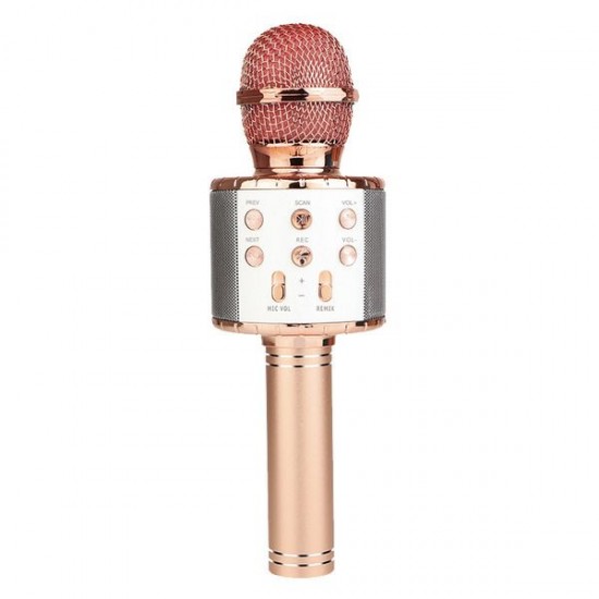 Ggi220334/3 mm microfono karaoke oro